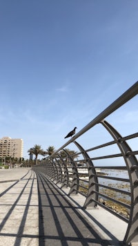 a bird perched on a metal railing